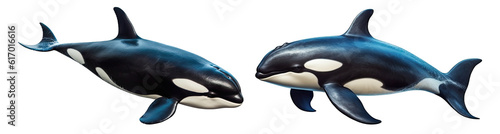 Set of orca killer whales isolated on white background - Generative AI