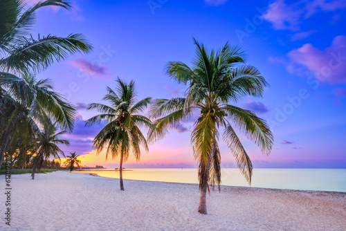 Smathers Beach, Sunrise.beautifully framed by Palm Trees..Key West, Florida, USA