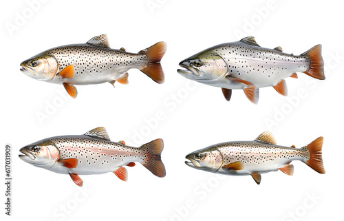 Trout fish on transparent background, PNG file. Generative AI