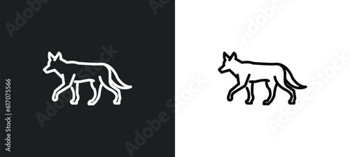 jackal line icon in white and black colors. jackal flat vector icon from jackal collection for web, mobile apps and ui.