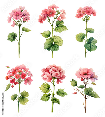Watercolor geranium set. Generative Ai