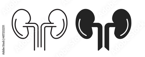 Human body kidney icon set. Kidney organ transplant line vector symbol. Isolated kidney outline and filled icon set.