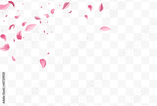 Pink Petal Blur Vector Transparent Background.