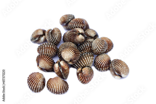 Fresh raw blood cockles isolated on white background. Concept , Natural seafood. Food ingredients that can be cooked in variety delicious menu. Popular Thai seafood