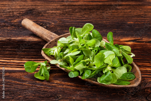 Fresh green field salad on old wooden spoon on rustic vintage wooden background. Fresh salad, rustic vintage country style image.