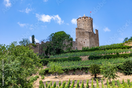historic Kaysersberg castle in the vineyards in Vosges region,