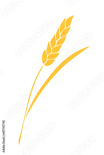 Vector golden spikelet of wheat isolated on white background. Hand drawn color clipart in flat style. Theme of bakery products, flour, harvest, thanksgiving