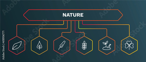 set of nature white thin line icons. nature outline icons with infographic template. linear icons such as poplar leaf, subulate, acacia, farming, trifoliate ternate vector.