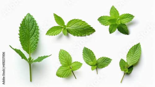 Set of fresh mint leaves on white background.Generative Ai.