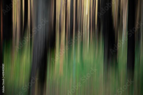 Abstract long exposure green forest