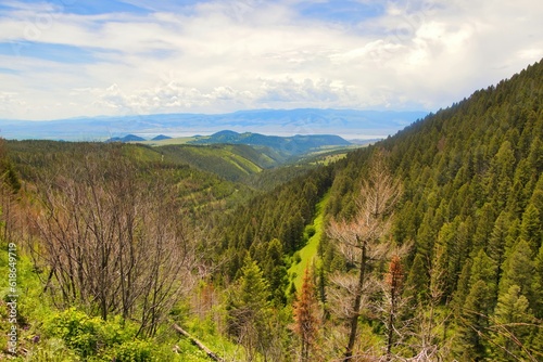 A mountaintop scenic view of a green forest landscape on a mostly sunny summer day in Montana.