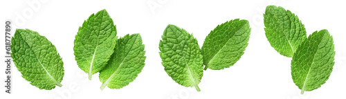 Set of fresh mint leaves cut out