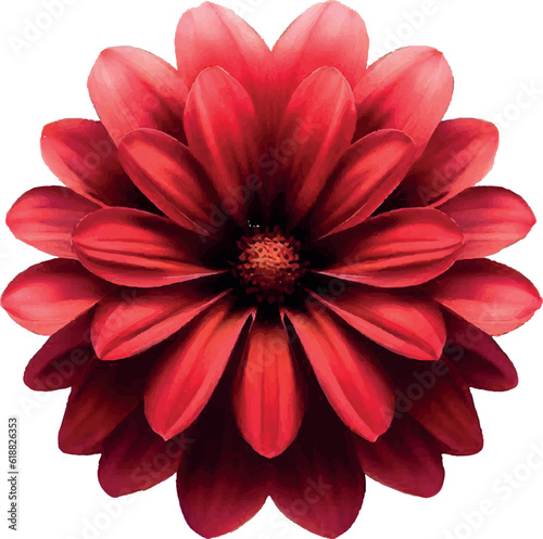 red flower on white background