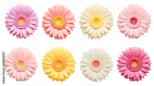 collection of soft pastel gerbera daisies flowers isolated on a transparent background, generative ai