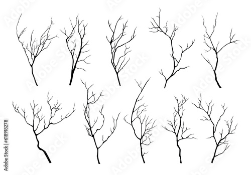 Vector collection of black silhouettes of tree branches isolated on white background