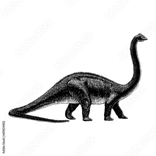 Diplodocus hand drawing vector isolated on background.