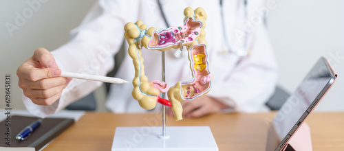 Doctor with human Colon anatomy model and tablet. Colonic disease, Large Intestine, Colorectal cancer, Ulcerative colitis, Diverticulitis, Irritable bowel syndrome and Digestive system