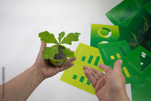 Mały dąb w doniczce, trzymany w dłoni na tle zielonych plansz z wykresami. Druga dłoń wskazuje na roślinę.