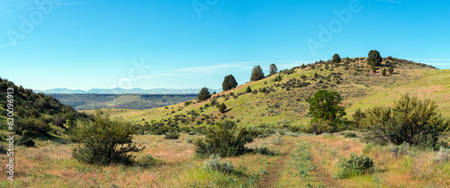 Panorama of the verdant rolling hills near Tygh Valley, Oregon, USA