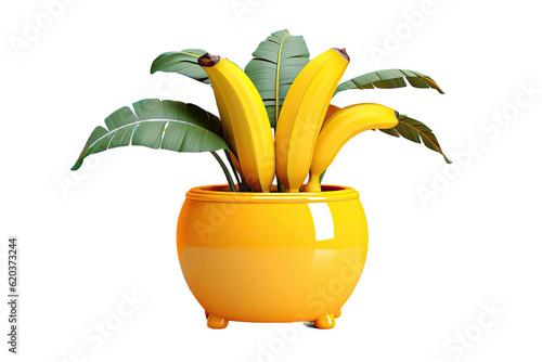 3D illustration of a banana plant in a pot, separated from its surroundings, on a transparent background.