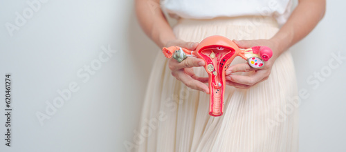 Woman holding Uterus and Ovaries model. Ovarian and Cervical cancer, Endometriosis, Hysterectomy, Uterine fibroids, Reproductive, menstruation, Stomach, Pregnancy and Sexual Transmitted disease
