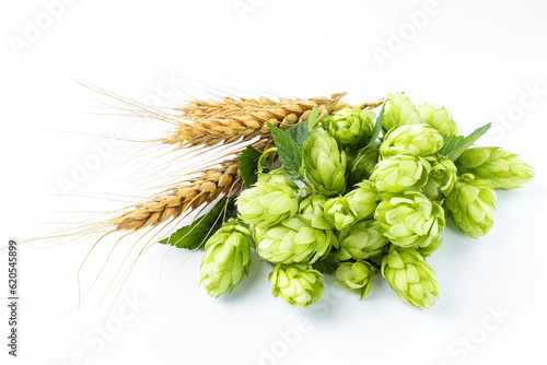 Closeup of fresh hops flowers and ripe ears of wheat on white background. Ingredients for production of tasty beer
