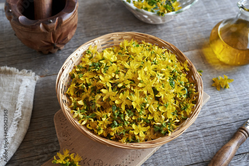 Fresh St. John's wort flowers in a wicker basket