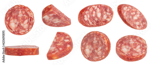 Dried sausage slices on a white isolated background. Sausage slices in different cuts are suitable for inserting into a design or project.