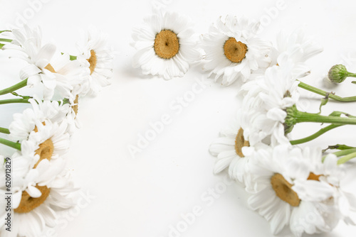White daisies on white background with copy space.