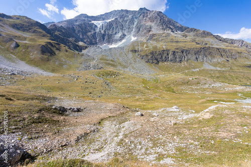 Le mont Pourri est un sommet situé dans la Vanoise, dans la partie septentrionale du massif, à la limite des territoires des communes de Peisey-Nancroix et de Villaroger en Savoie en été