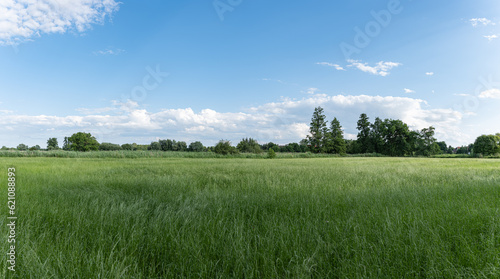 Krajobraz panorama pola uprawnego w okresie wzrostów, jasna pogoda nieznacznie pochmurna 
