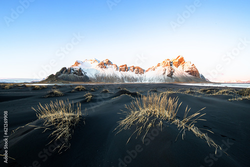 The incredible landscape of Vestrahorn in the south of Iceland. Beautiful black sand with some yellow grass in the foreground and mountains with snow in the background.