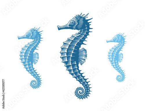 Hippocampus. Marine life. Editable hand drawn illustration. Vector vintage engraving. Isolated on a white background. 8 EPS