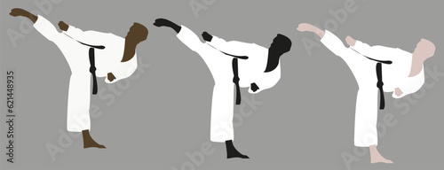 Vector karate man icon set on a grey background. Man in uniform posing with black belt. Sport athletes. Taekwando. 