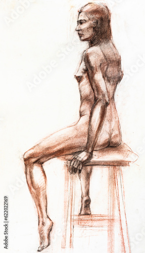 study hand-drawn drawing of sitting nude woman drawn with with sepia and sanguine on white paper