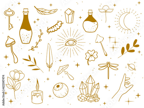 Collection of golden magic items. Feathers, plants, eyes, stars, poison bottles, mushrooms, candle, insects, etc. Illustration on transparent background