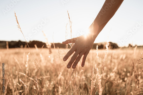 Golden wheat field under morning sky with senior woman's hand touching grass in the countryside.