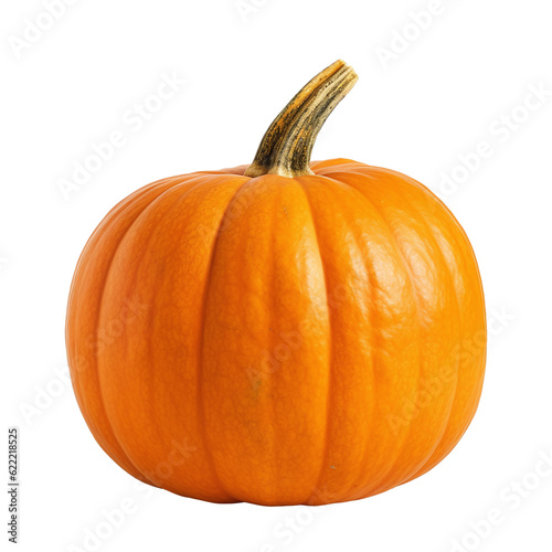 pumpkin isolated on white