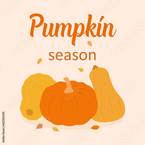 Autumn pumpkin season background