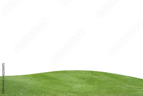 Hill green grass isolated on white,PNG