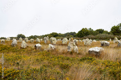 Steinreihen von Carnac, Frankreich - 25