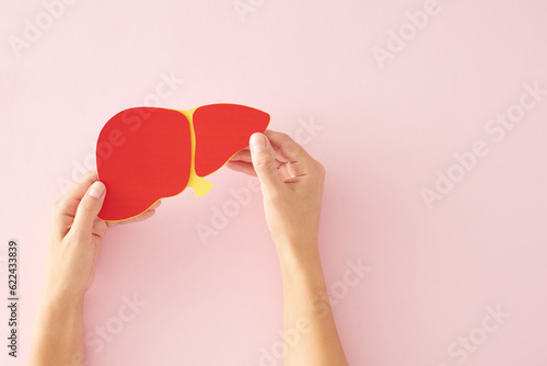 Сaring for the liver on World Hepatitis day July 28th. Top view photo of red liver in woman hands on pastel pink background with empty space for text