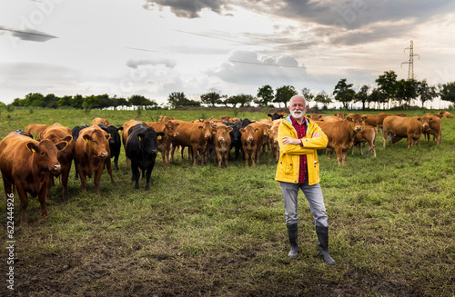 Farmer with cows on meadow