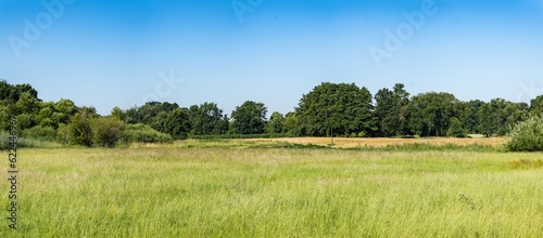 Panoramiczny krajobraz pola uprawnego w okresie wzrostów pory letniej w zachodniej Polsce