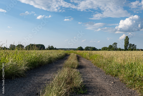 Polna kamienna droga idąca przez obszary wiejskie zachodniej Polski wśród pól i lasów w popołudniowy słoneczny dzień o letniej porze roku
