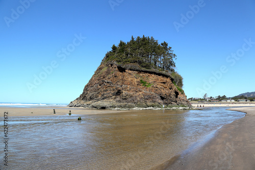 Along the Oregon Coast: Neskowin Ghost Forest on Neskowin Beach - remains of ancient sitka spruce trees sunk under the water after an earthquake 2000 years ago.