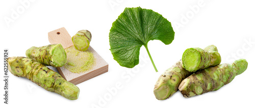 Japanese wasabi with leaf and grater on white background.