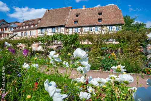 Anpflanzung von Wildblumen vor den historischen Fachwerkhäuser am Quai Anselmann in der Altstadt von Wissembourg. Departement Bas-Rhin in der Region Elsass in Frankreich