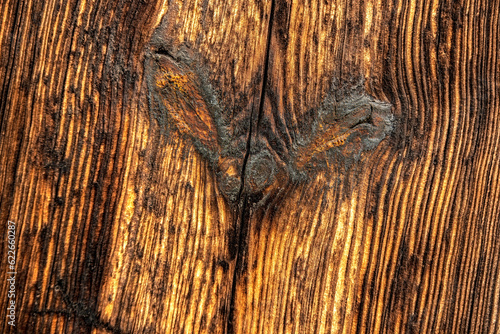 gnarled board in wooden door