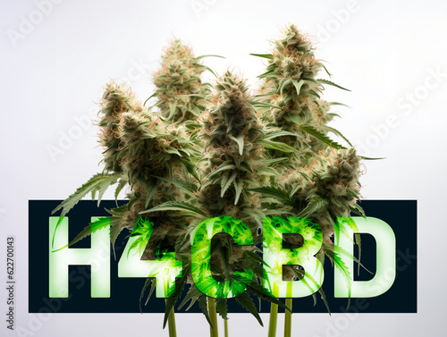 H4CBD et CBD autorisé en France